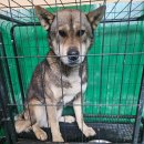 정선가축병원 이미지