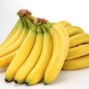 바나나동물병원 이미지