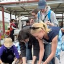 일산자두골마을 이미지