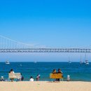 낙동강변로-6 네이버블로그