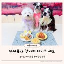 까까묵자 강아지케이크 수제간식 강아지생일 기념일 파티