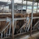 동원가든 이미지