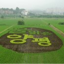 백양환경(주) 이미지