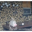 송정역 3번출구 이미지