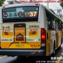 주정차37 이미지