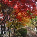 용구대로 이미지