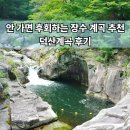 덕산 산딸나무길 | 장수 덕산계곡 주차·아이랑 가기 좋은 포인트 정리, 전북 장수 가볼 만한 곳 추천