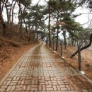 장계관광지 이미지