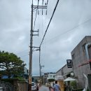 대동분식 | 김해 대동 서울분식 – 확장 이전한 국수거리 맛집! 들깨칼국수·수제비 후기