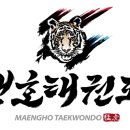 맹호 태권도장 이미지