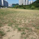 박달1동경로당 이미지