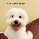 월