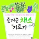 채소밭