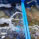 수산시장 55호 이미지