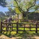 제주 일출봉 해안 일제동굴진지 이미지