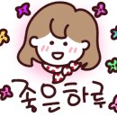 스마트폰과 카카오톡 배우기(기초) 이미지