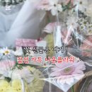 나윤플라워 이미지