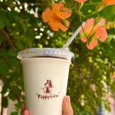 노랑퍼피 | 대흥역 신상카페 퍼피치노 반려견과 함께 가는 힐링스팟