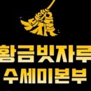 황금빗자루수세미본부