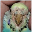 굿닥터동물병원 이미지