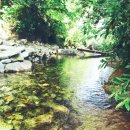 강릉외갓집 이미지