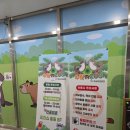 리더스 관 | 호매실동 수달앤쥬 🦦 아이와 함께 다녀온 실내동물원 후기