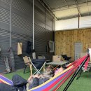 힐링독아카데미 이미지