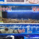 노다지수산 이미지