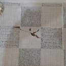 부산정비 화장실 이미지