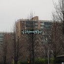 압구정-126 네이버블로그
