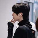 파파트리