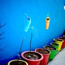 입석중학교 앞 이미지