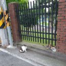 뉴욕PC클럽 이미지