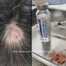 간석굿모닝의원 네이버블로그