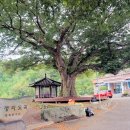 도곡리 마을회관 이미지