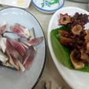 문병순농장 Daum카페