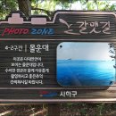 몰운대유원지 티스토리