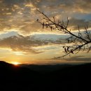 축령산휴림 이미지