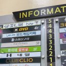 네일인어스