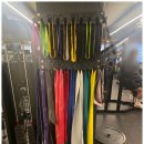 비치조아 이미지