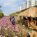 명태덕장 이미지