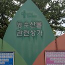 금봉식품