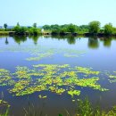 아름낚시터 이미지