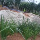 주석농장 이미지