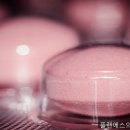 에스플랜주