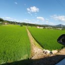 해담 태양광발전소 이미지