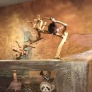 조물락공작소 | 부천 실내 동물원// 세이브존 하이주 후기