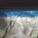 서포비치 | 9박10일 7일차 만수가만든차/원탑갈비식육식당/흙기와/파라다랑스/ 팜프라촌/ 서포밥상/ 상주은모래비치