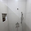 제주애단비 마주 이미지