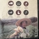 중마루공원 | 영등포역 삼겹살 맛집 월화식당 주차 및 미나리삼겹살 후기